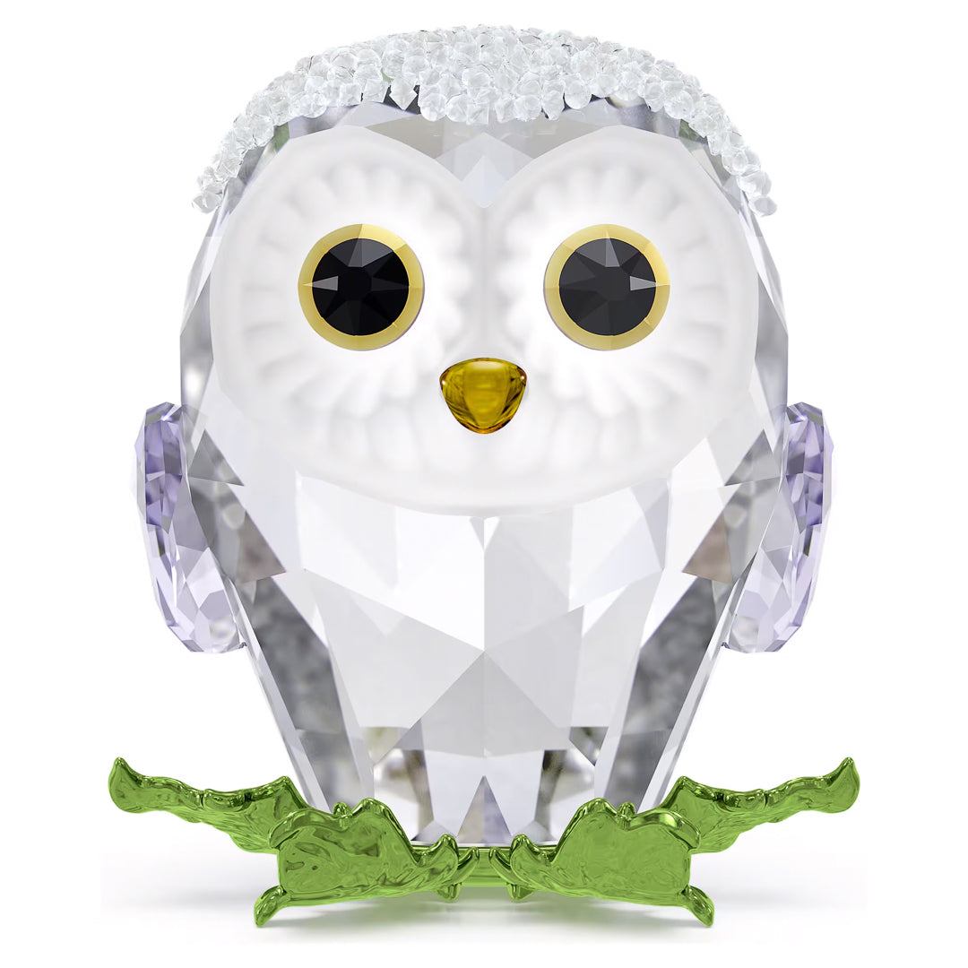 The Swarovski Idyllia Baby Owl Home Décor piece is a charming crystal ornament featuring a baby owl with large, round eyes and a yellow beak. The owl's textured wings complement its body adorned with purple ear coverings, while green feet and a frosted surface on its head complete this delightful home décor item.