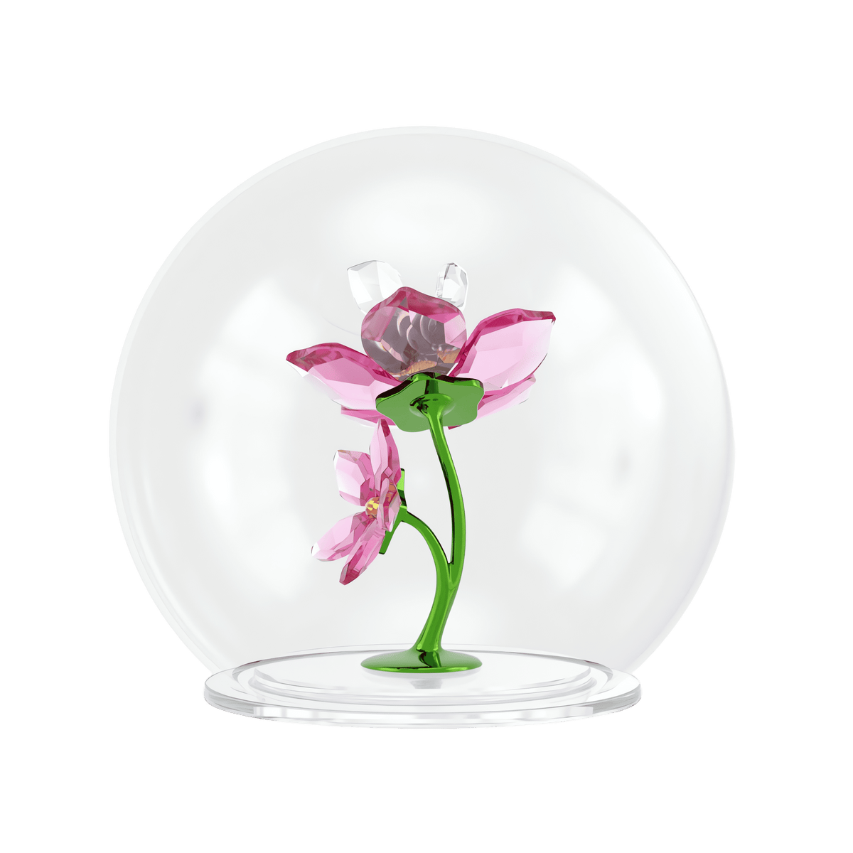 A delicate pink glass flower with a green stem is displayed under a clear glass dome on a round base, set against a plain white background, creating an enchanting decoration reminiscent of the Swarovski Idyllia Glass Ball Bee and Flowers by Swarovski.
