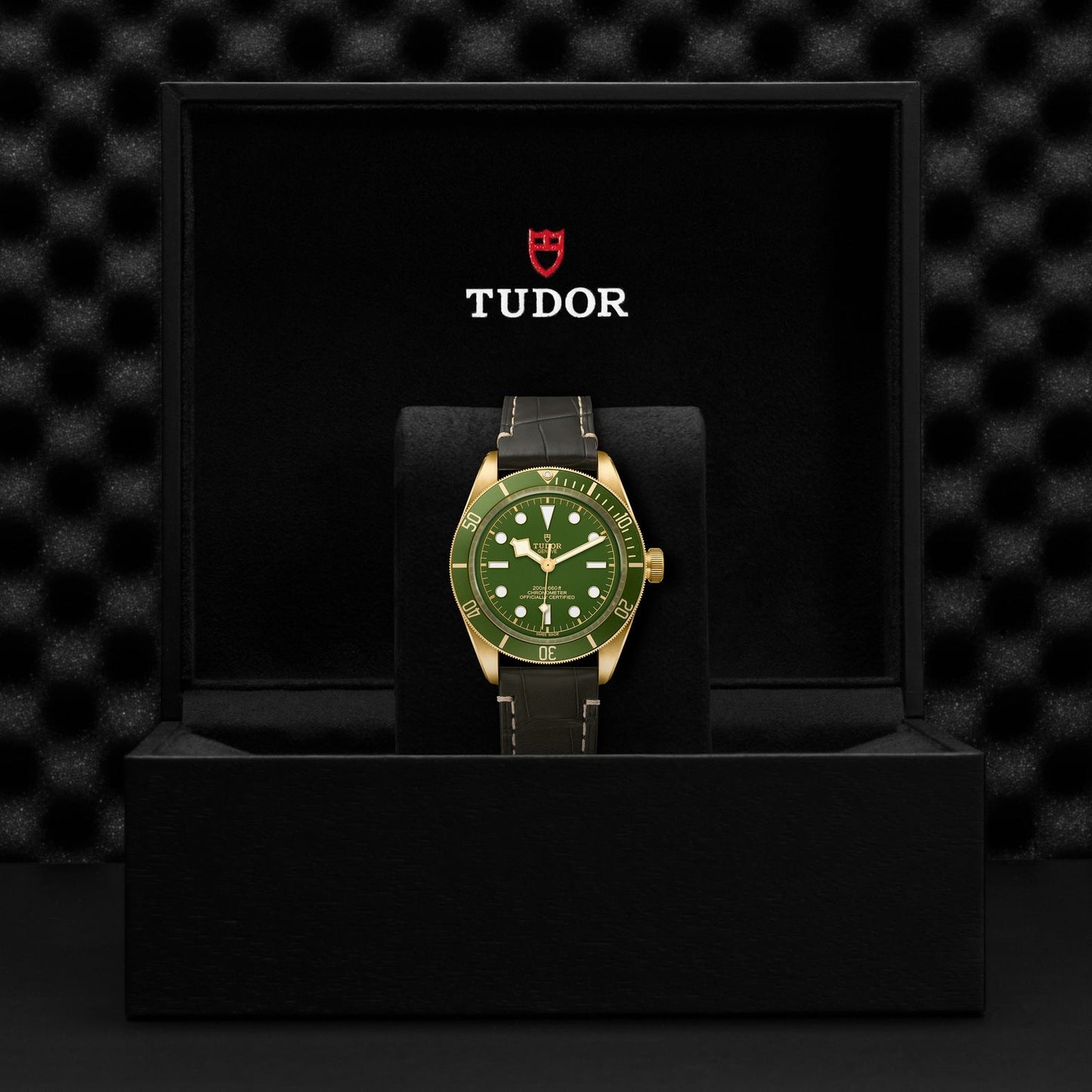 The TUDOR Black Bay 58 18K dive watch, featuring a yellow gold case and a matching green strap, is displayed upright in a black box. The open lid reveals the "TUDOR" logo in white accompanied by a red shield. A subtle geometric pattern in the background enhances the classic design of this timepiece.