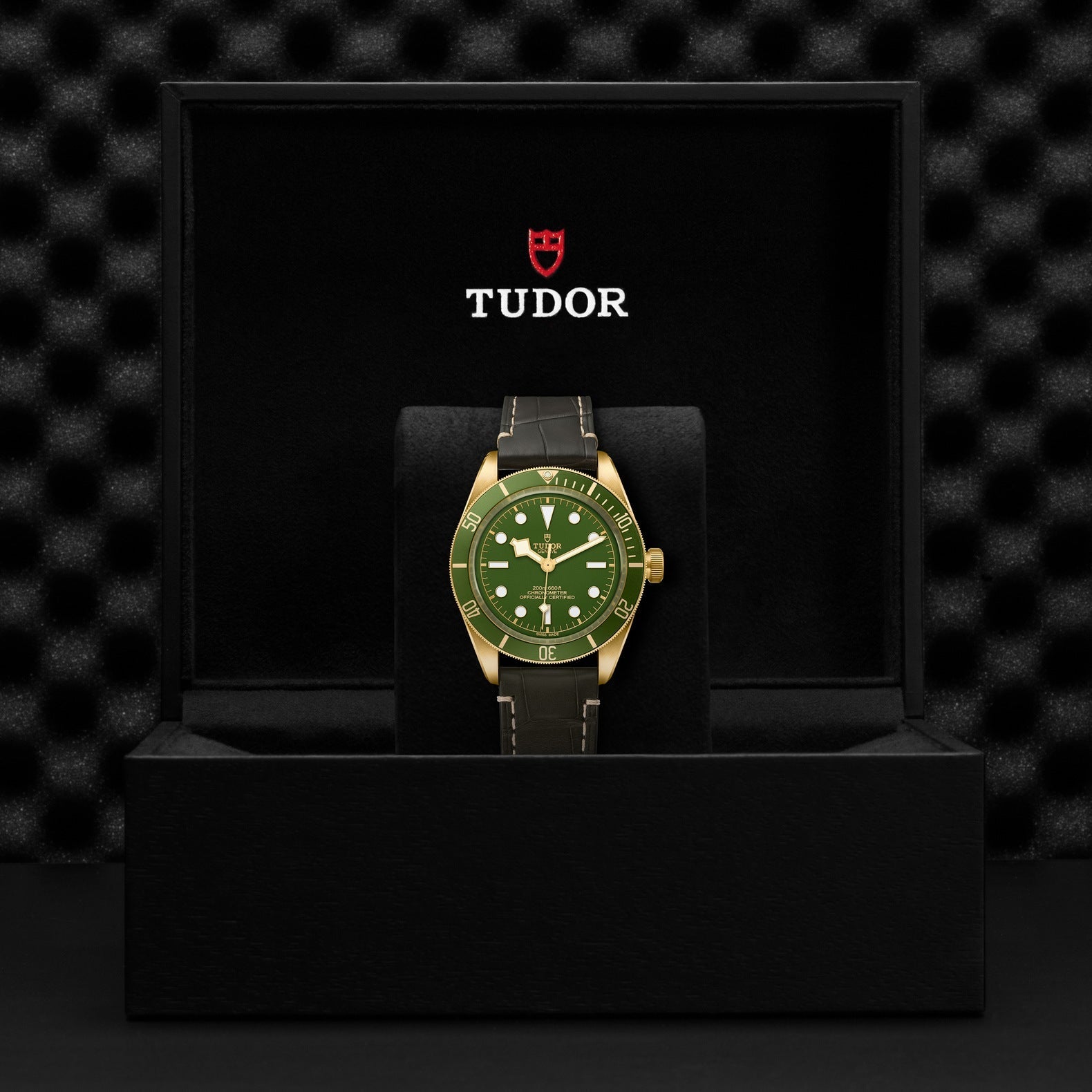 The TUDOR Black Bay 58 18K dive watch, featuring a yellow gold case and a matching green strap, is displayed upright in a black box. The open lid reveals the "TUDOR" logo in white accompanied by a red shield. A subtle geometric pattern in the background enhances the classic design of this timepiece.