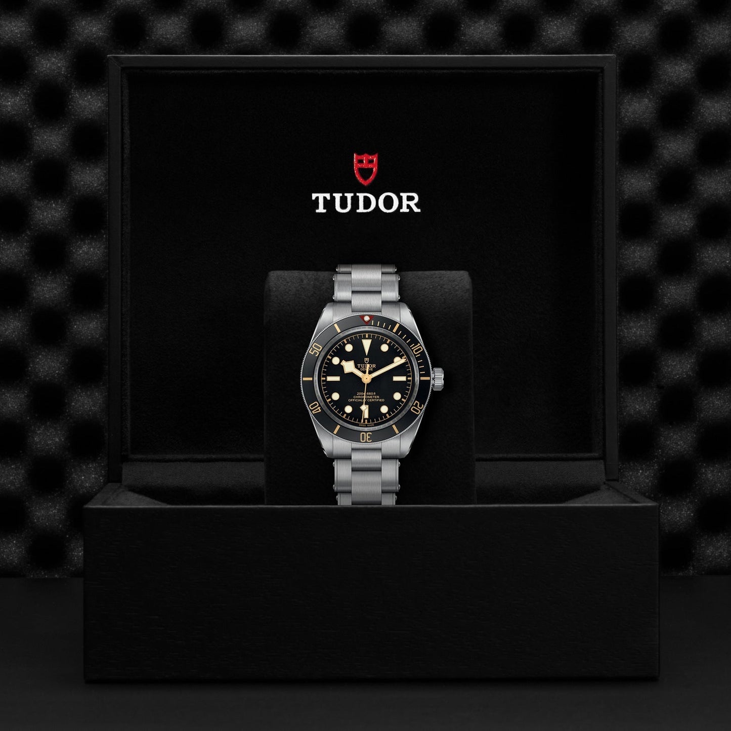 A TUDOR Black Bay 58 dive watch, known for its luxurious black and silver design, is beautifully presented in an open black box. The box features the iconic red TUDOR logo along with the brand's name in white, showcasing the watch on a sleek steel bracelet against a textured black backdrop.