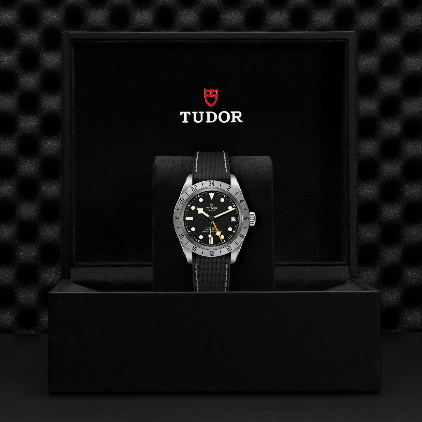 A TUDOR Black Bay Pro wristwatch is presented in an open black box. The watch showcases a round silver bezel, black dial, and is paired with a black band. The TUDOR logo prominently adorns the inside of the box lid against a textured backdrop.