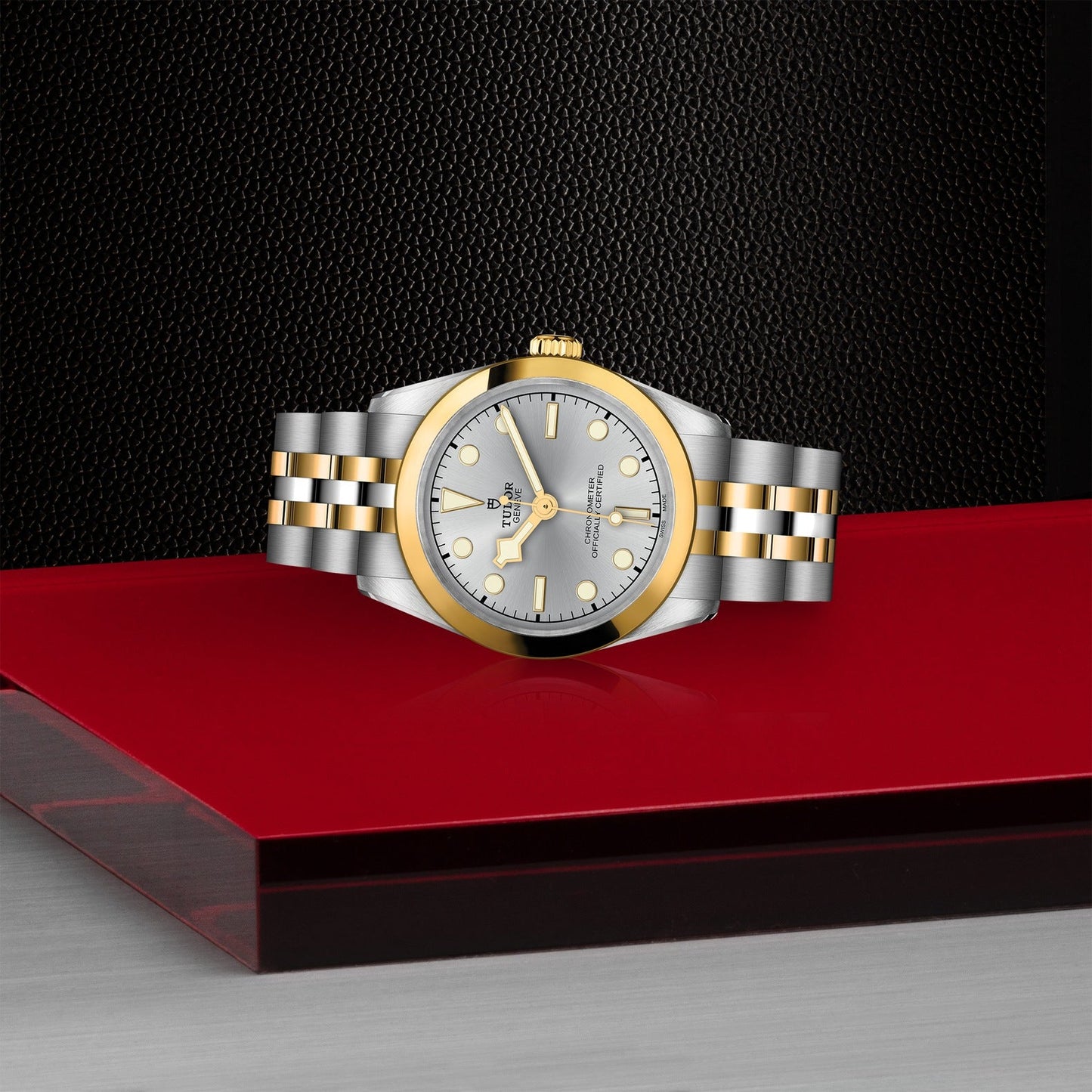 Set against a red surface, the TUDOR Black Bay One 31 S&G showcases a luxury round silver face with gold accents and a textured black background. The design is completed with a steel and yellow gold bracelet, echoing the elegance of TUDOR divers watches in the Black Bay collection.