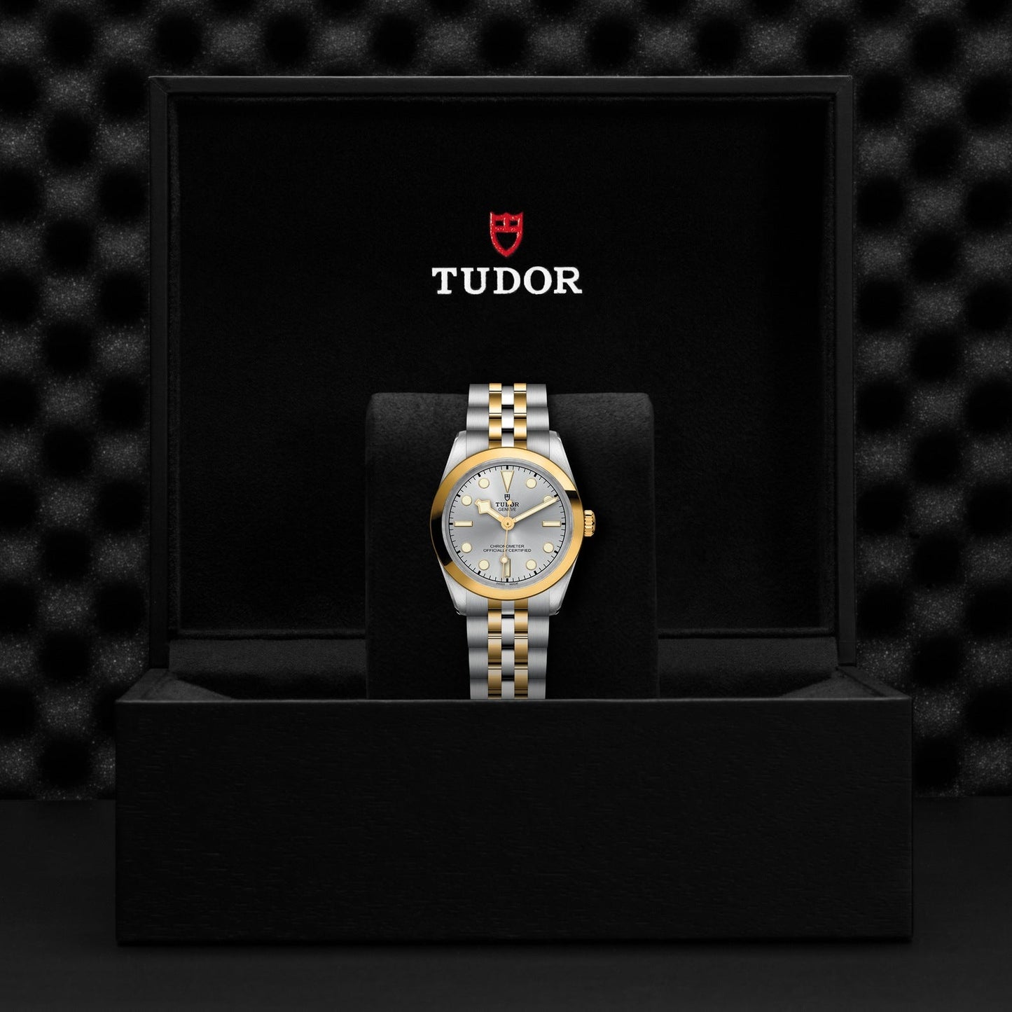 In an open black box sits the luxurious TUDOR Black Bay One 31 S&G, featuring a steel and yellow gold bracelet, a gold bezel, and a silver face with gold accents. "Tudor Black Bay" is printed in white above a red emblem inside the lid, epitomizing TUDOR's divers' watches essence.