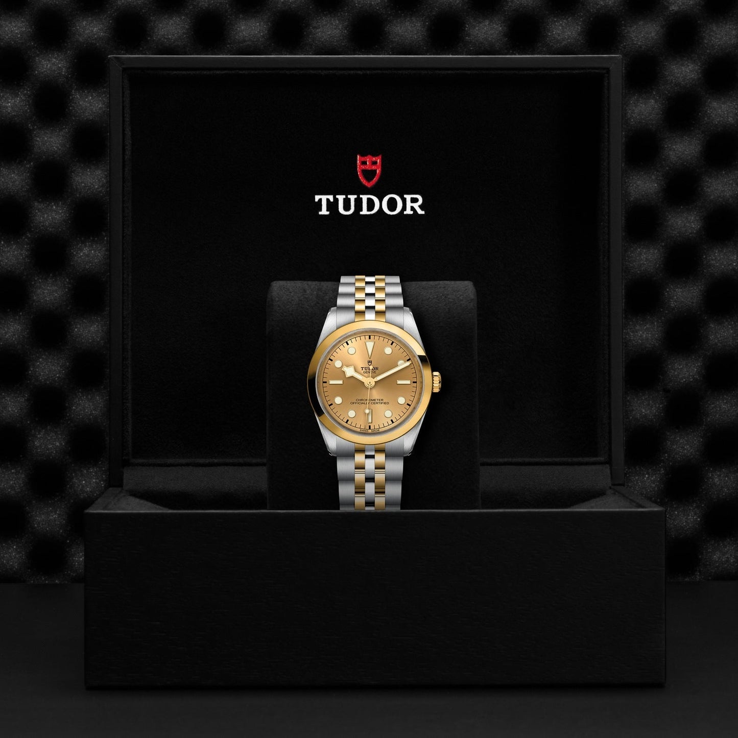 The TUDOR Black Bay One 36 S&G features a gold dial and two-tone bracelet in a 36mm steel case. It elegantly rests in a black box with the iconic red shield logo and "TUDOR," set against a textured black background.