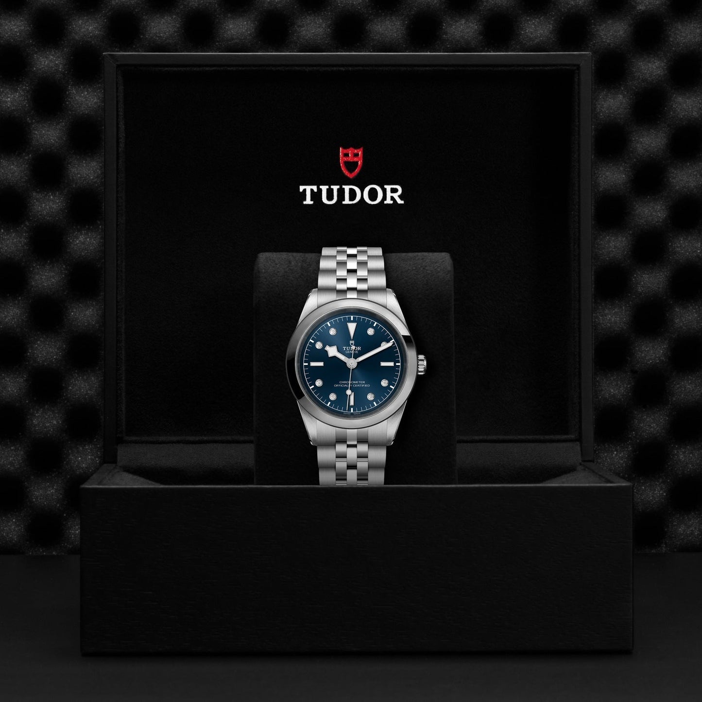 The TUDOR Black Bay One 41 watch, featuring a deep blue face and checkered steel bracelet, is showcased in an open black box. Its 41mm steel case with luminous markers exudes elegance, while the TUDOR logo adorns the inner lid.
