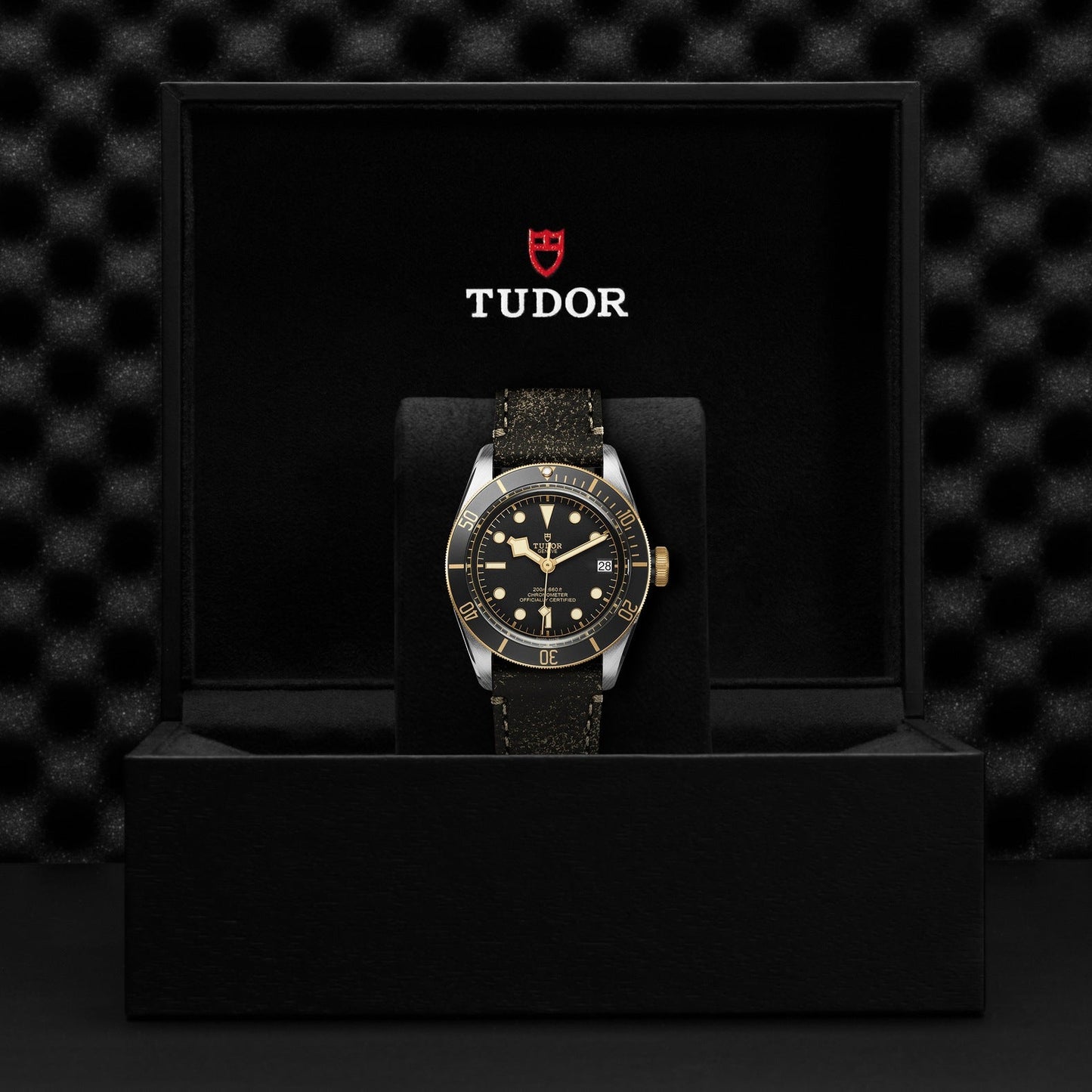 A TUDOR Black Bay S&G wristwatch is elegantly displayed in an open black box with a textured background. The watch features a striking Steel & Gold design, and the iconic TUDOR logo is visible on the box interior.