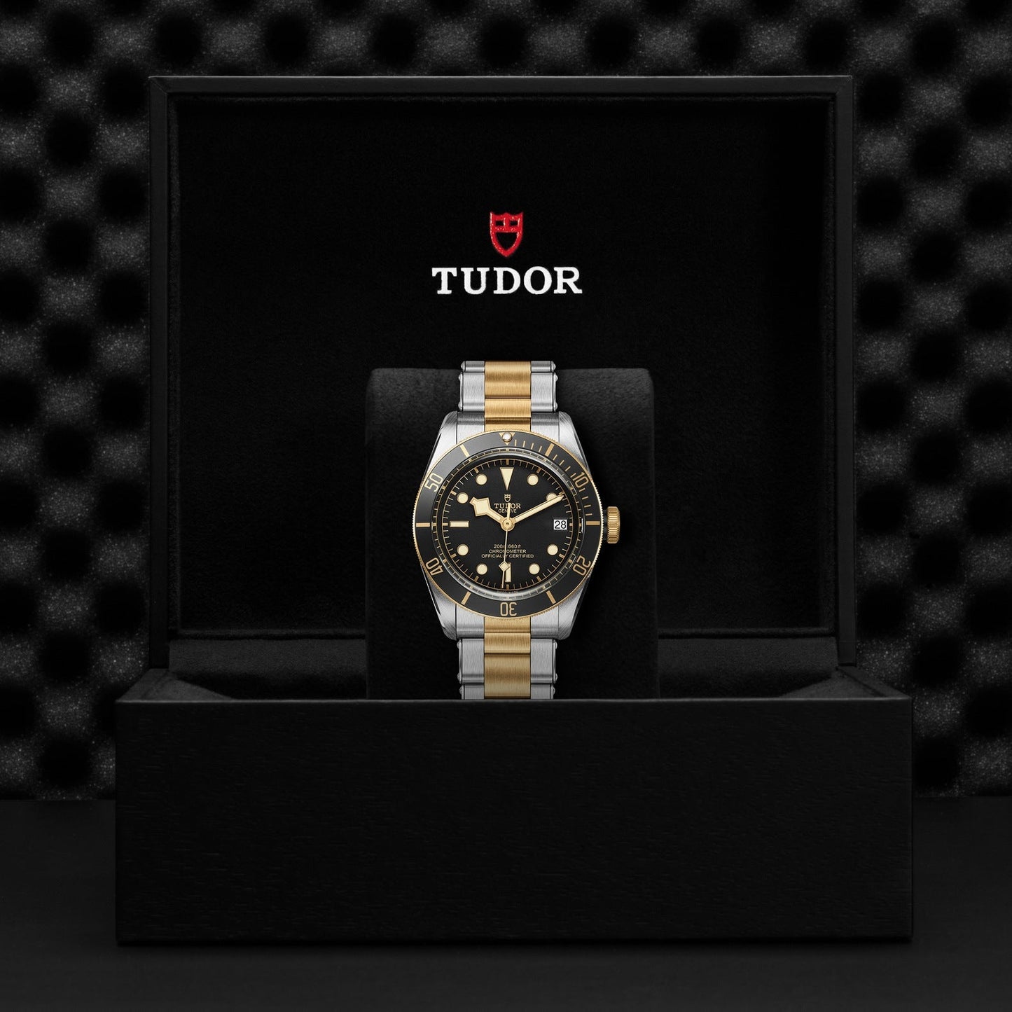 Displayed upright in an open black box with a textured lid is the TUDOR Black Bay S&G wristwatch, featuring a two-toned design with a black dial. The brand "TUDOR" is elegantly printed above alongside a red shield logo, all set against a sleek black-themed box and background.