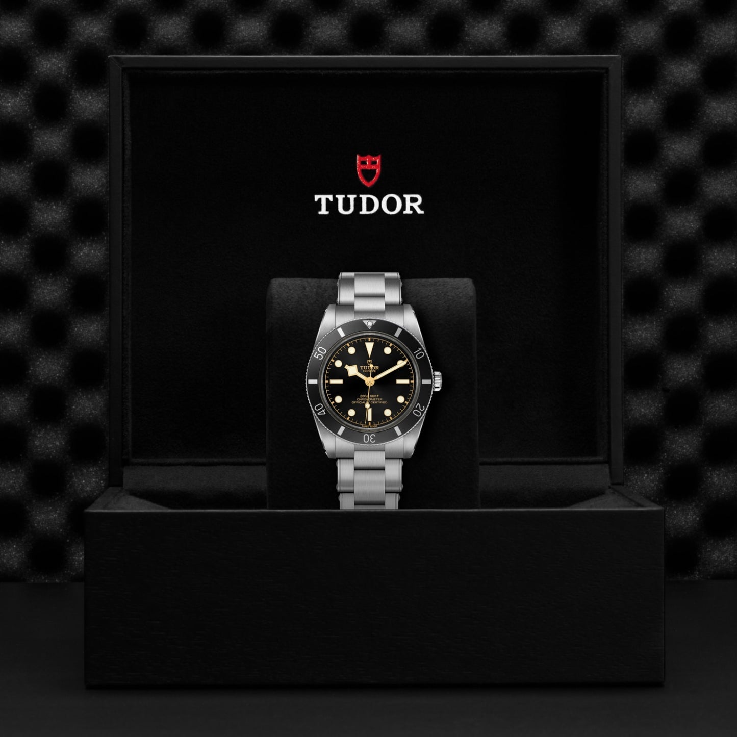 A TUDOR Black Bay 54 dive watch with a black dial and steel band sits in an open TUDOR box, its 37mm steel case displayed against a textured black background.