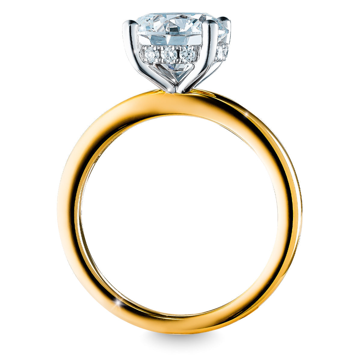 The Raffi&Co.® 14K Yellow Gold Round Brilliant Lab Diamond Solitaire Engagement Ring features a large round diamond in a silver prong setting, surrounded by a halo of smaller diamonds. The ring is shown upright against a white background.