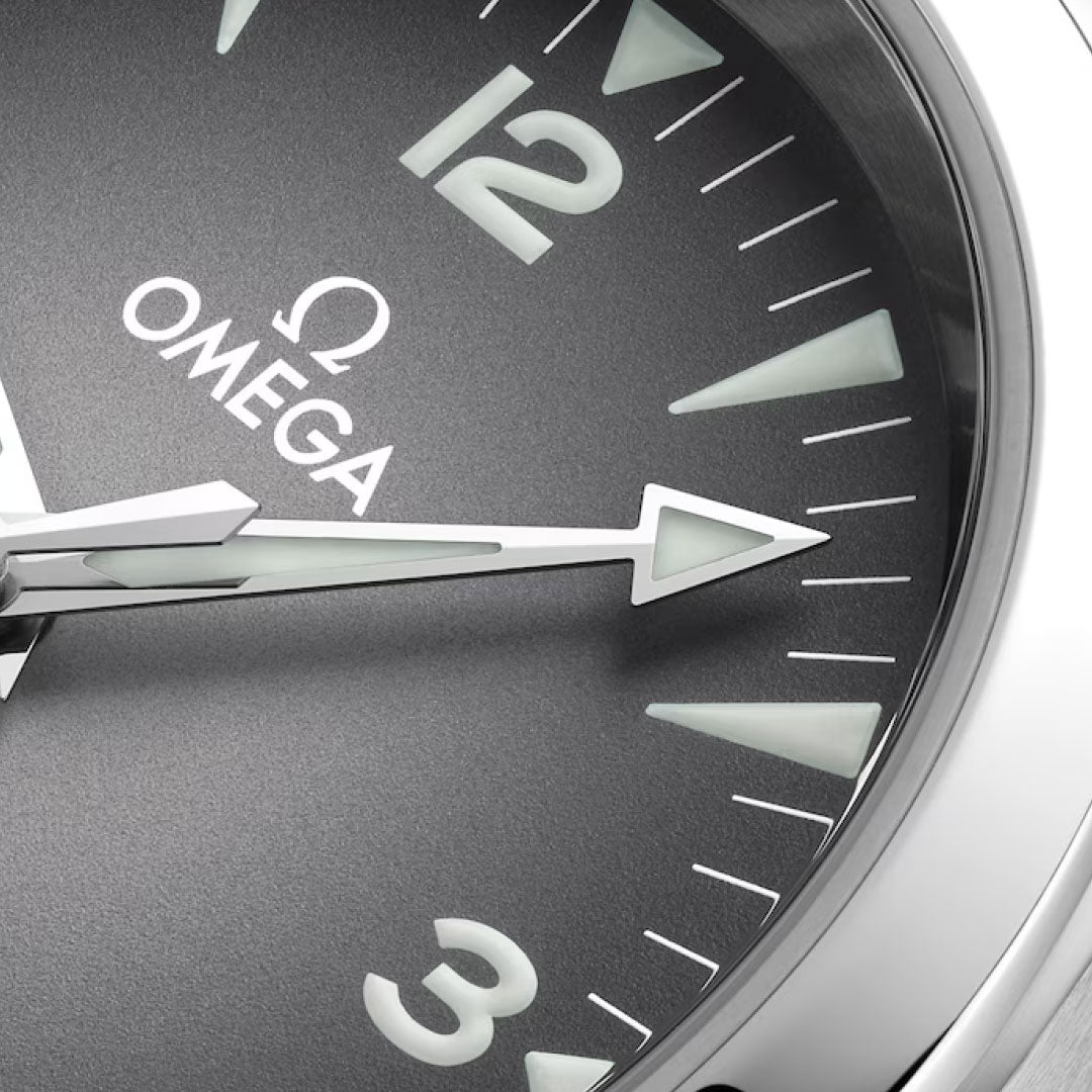 Close-up of the OMEGA Seamaster Railmaster Co-Axial Master Chronometer 38mm watch face, featuring the OMEGA logo, silver hands, and luminous hour markers on a grey background; time reads about 1:08.