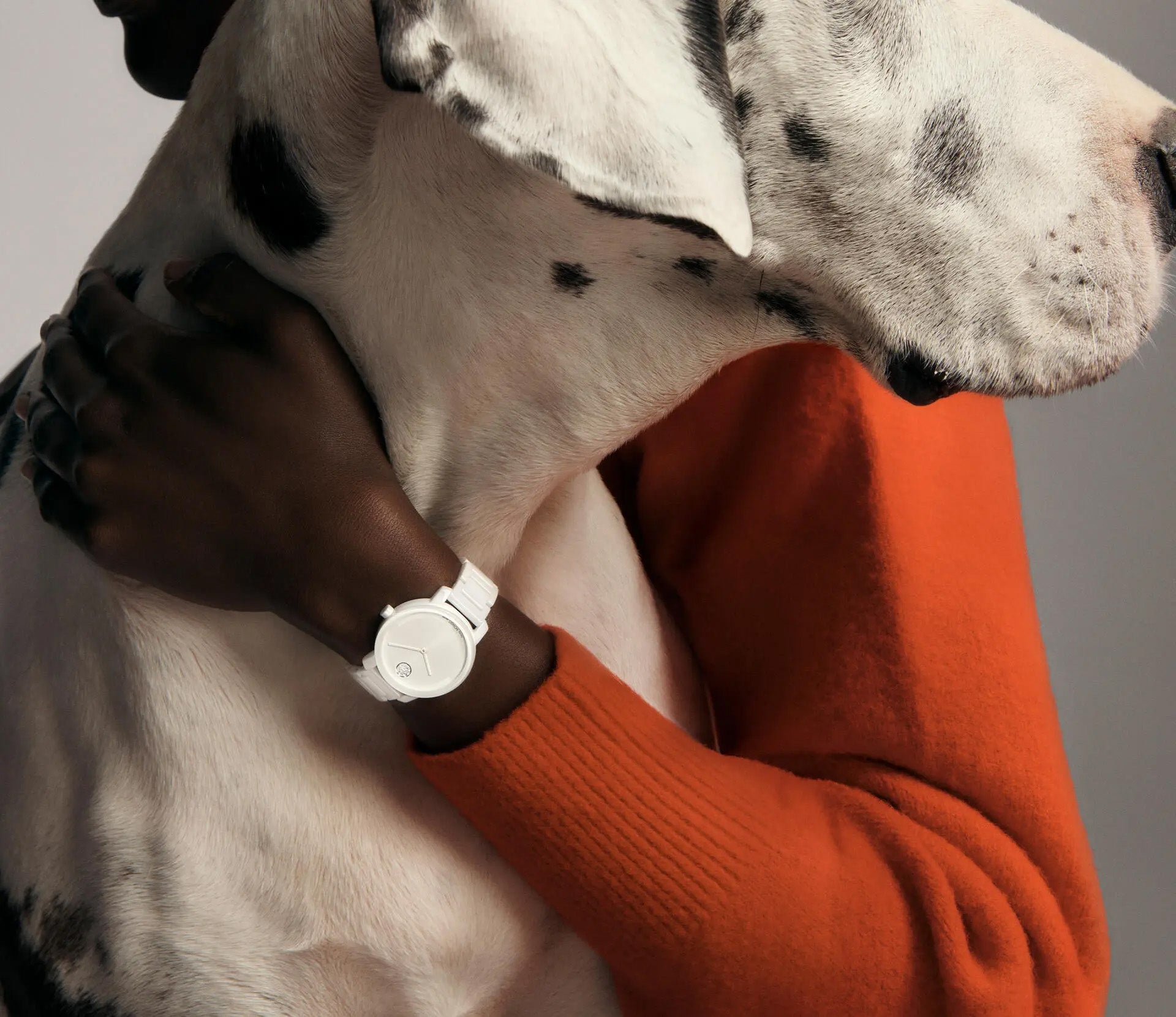 A person in an orange sweater holds a large white and black-spotted dog, like a Great Dane. They wear the Movado BOLD Evolution 2.0 Quartz 34mm Watch, featuring a sleek white ceramic design with a micro-textured dial. Both face away from the camera.