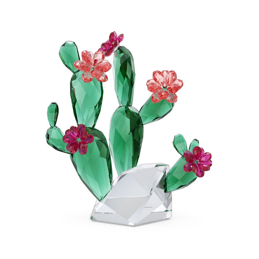 Introducing the Swarovski Flowers Desert Pink Cactus Crystal Home Decor, a stunning piece from the Colored Nature collection. This decorative figurine features green leaves and pink flowers crafted with faceted crystal that gives it a shiny, reflective appearance. It rests elegantly on a clear base, making it a vibrant addition to any setting.