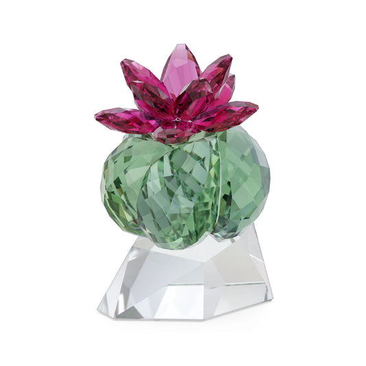 The Swarovski Flowers Bordeaux Cactus Crystal Home Décor piece draws its inspiration from the desert, featuring a green crystal body beautifully embellished with pink and magenta crystal flowers blooming atop. It is elegantly displayed on a clear, faceted base that highlights Swarovski's masterful craftsmanship in design.