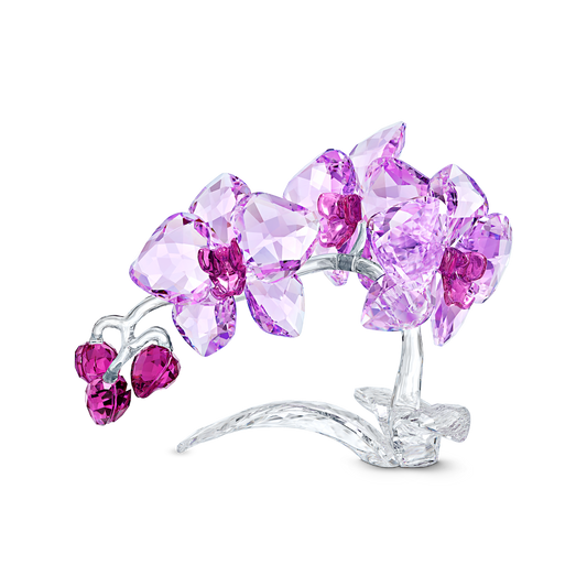 A sophisticated piece from Swarovski, the Orchid Flowers Crystal Home Decor features a silver branch embellished with dazzling pink and purple gemstones forming exquisite orchid flowers, all set against a black backdrop. A crystal masterpiece that radiates enduring natural elegance.