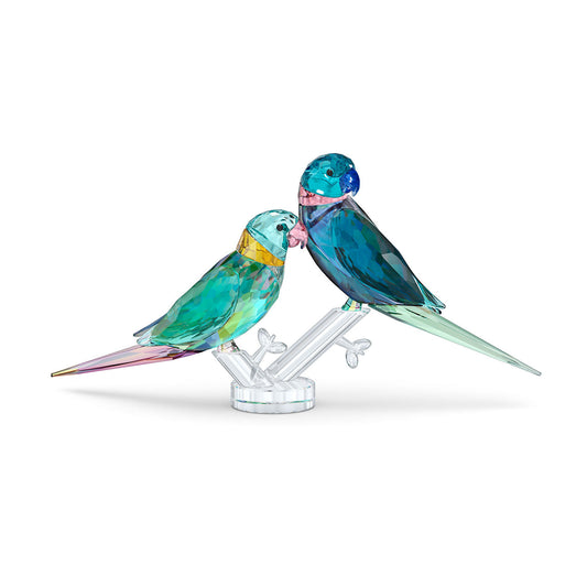 The Swarovski Jungle Beats Parakeet Couple Fife & Fifer Home Décor piece features two vibrant parakeets perched on a clear base, exemplifying Swarovski's exquisite design. One bird shimmers in blue and green tones, while the other captivates with yellow and turquoise shades. The gentle touch of their beaks evokes a sense of connection and affection.