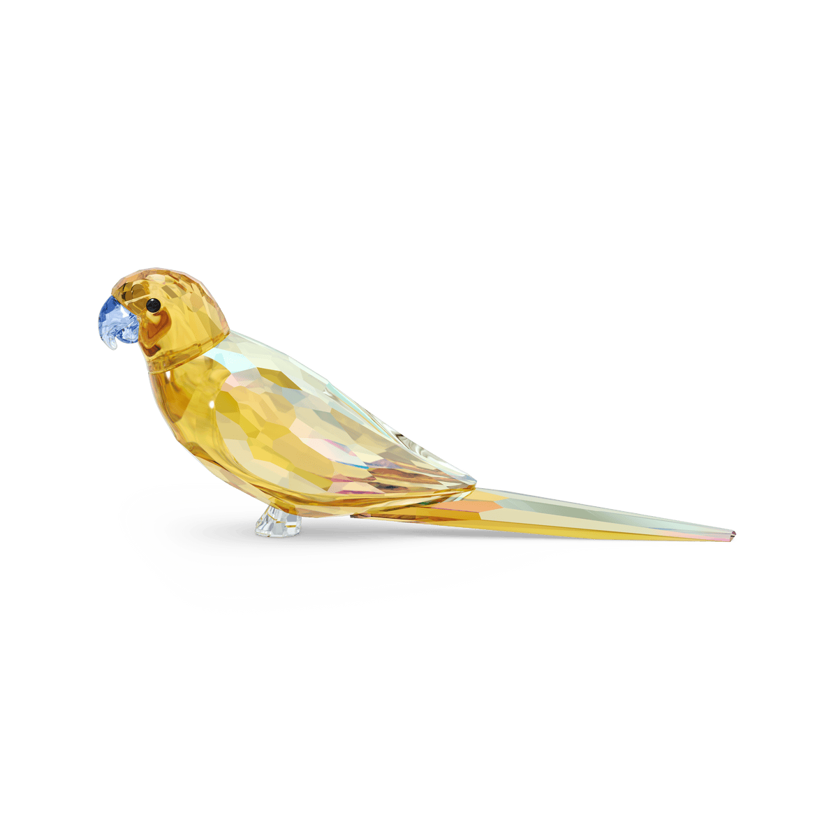 The Swarovski Jungle Beats Yellow Parakeet Lechee by Swarovski features a faceted yellow body, a blue beak, and a transparent tail, beautifully displayed on a plain white background. This exquisite crystal figurine is available from Swarovski Canada.