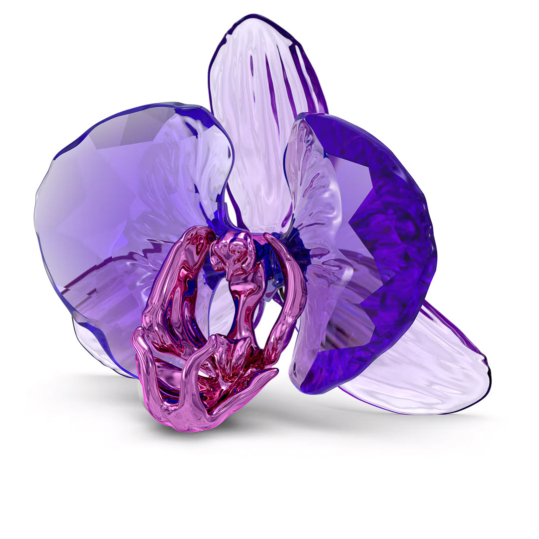 Introducing the Swarovski Idyllia SCS Orchid Petal Home Décor, a breathtaking glass sculpture by Swarovski. This exquisite piece features transparent purple petals and a delicate pink center, crafted with precise artistry, elegantly displayed against a plain white background.