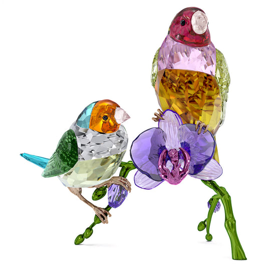 Two vibrant Gouldian Finches from the Swarovski Idyllia SCS Annual Edition 2024 collection gracefully perch on a branch, with one poised atop a purple crystal flower. Crafted in multifaceted glass featuring shades of green, orange, yellow, and pink, these stunning birds exhibit a dazzling reflective appearance.