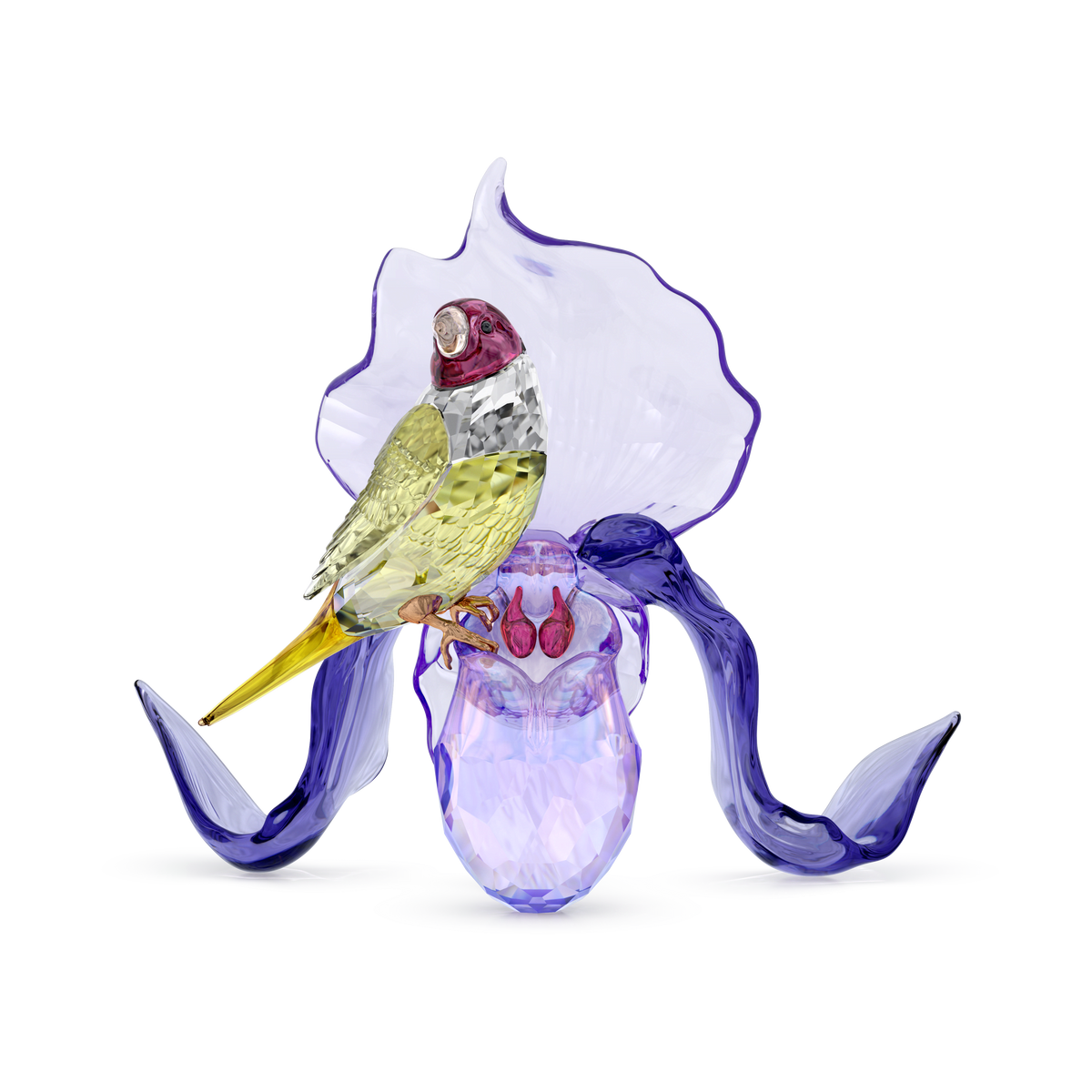 A vibrant Swarovski Idyllia Gouldian Finch, adorned with yellow, green, and purple feathers, is perched gracefully on a delicate orchid sculpture with curved translucent purple petals, showcasing the brand’s signature elegance.