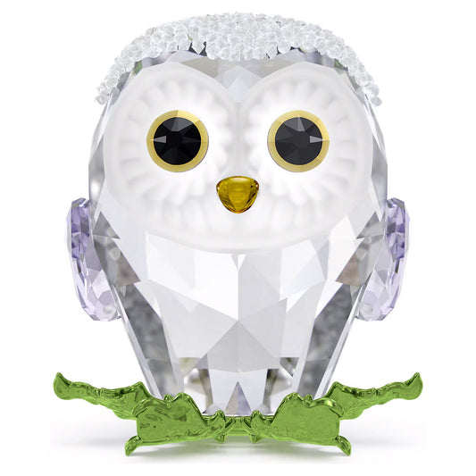 The Swarovski Idyllia Baby Owl Home Décor piece is a charming crystal ornament featuring a baby owl with large, round eyes and a yellow beak. The owl's textured wings complement its body adorned with purple ear coverings, while green feet and a frosted surface on its head complete this delightful home décor item.