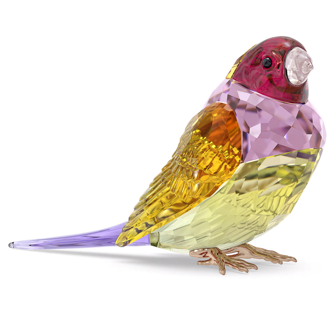 The Swarovski Idyllia SCS Gouldian Finch Home Décor piece is a vibrant crystal bird figurine that dazzles with a gradient of purple, pink, yellow, and green hues. Its intricate facets and Swarovski-inspired design capture the essence of the Gouldian Finch, while its gentle shine accentuates the detailed craftsmanship.