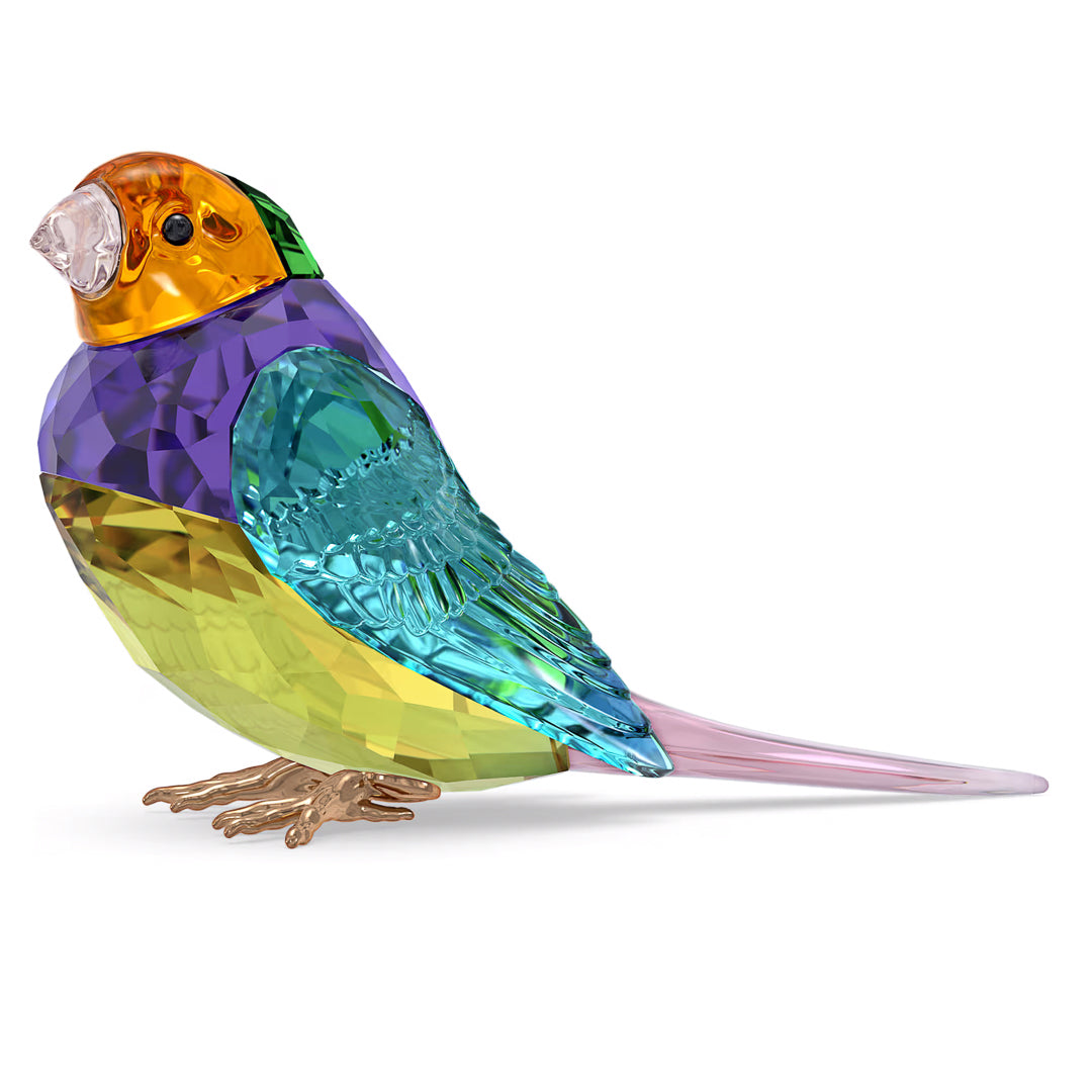 The Swarovski Idyllia SCS Gouldian Finch Home Décor by Swarovski is a vibrant crystal figurine capturing the beauty of a Gouldian Finch. It features an exquisite mix of purple, green, yellow, and orange hues, with intricate feather details and stands elegantly on delicate golden feet with a clear, elongated tail.