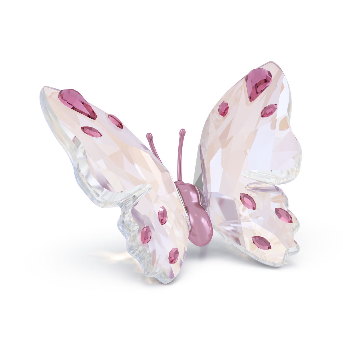 Elevate your home décor with the Swarovski Idyllia Butterfly, Small—a charming butterfly figurine by Swarovski, featuring clear crystal wings adorned with pink spots and a pink body, beautifully displayed on a white background.
