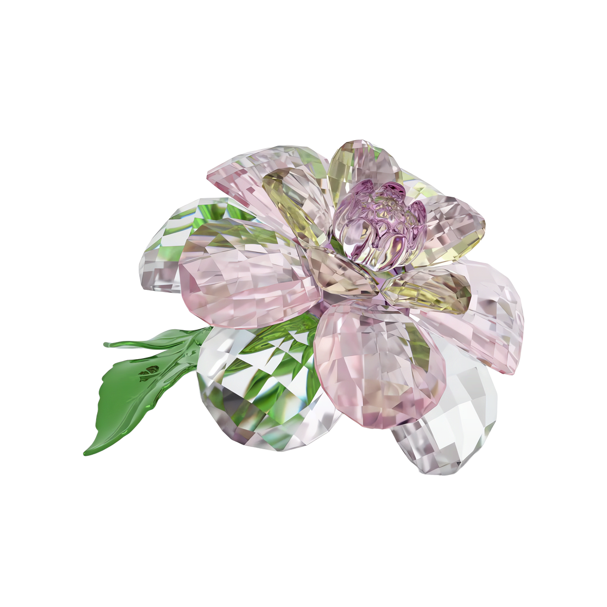 The Swarovski Florere Camellia by Swarovski is a delicate crystal flower sculpture featuring pink and light green petals, a green center, and two green leaves. Displayed on a white background, this elegant decoration makes a perfect floral gift.