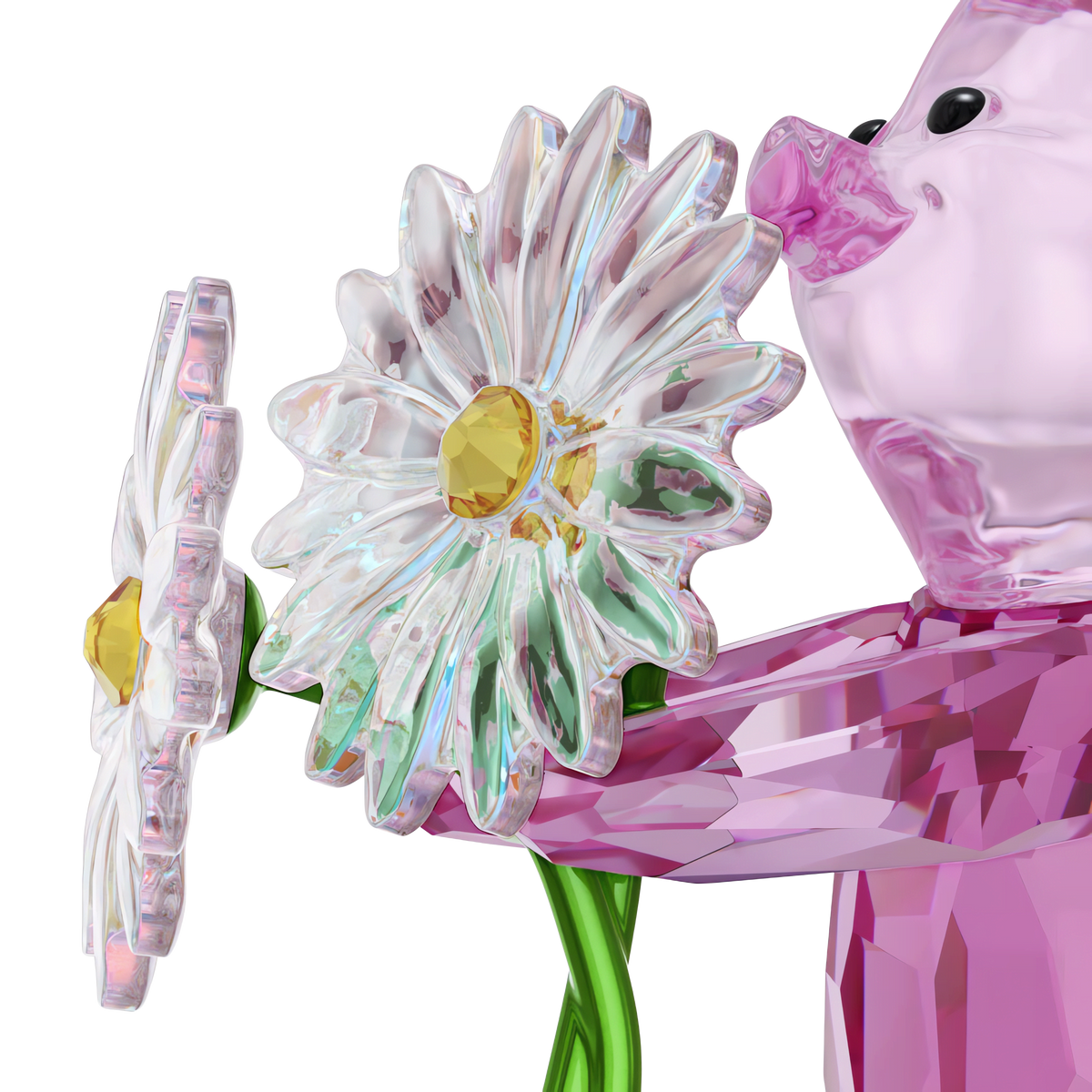 A shiny pink glass figure, the Swarovski Winnie The Pooh Piglet by Swarovski, holds two crystal-like daisy flowers with yellow centers and green stems against a white background.