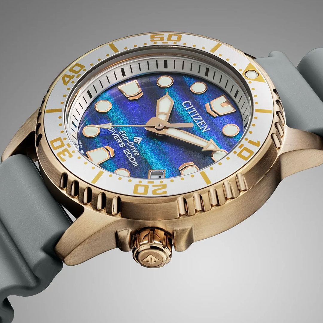 A close-up of the CITIZEN Promaster Dive Eco-Drive 36.5mm Limited Edition displays a blue iridescent dial, gold-tone case, white bezel with gold markings, gray rubber strap, luminous hands and markers, and signature Eco-Drive technology.