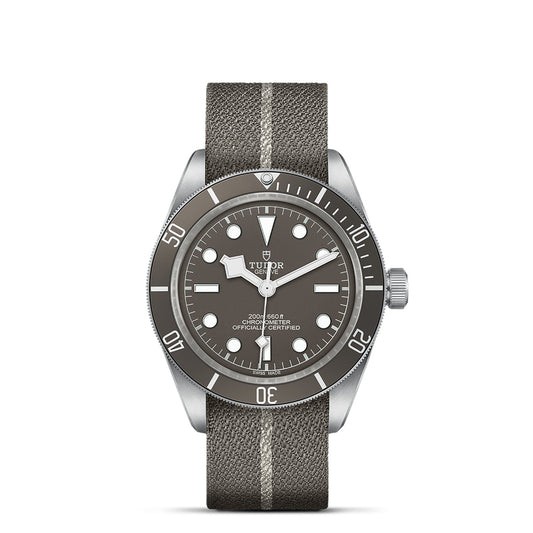 The TUDOR Black Bay 58 925 is a dive watch with a gray dial and fabric strap, showcasing bold white indices and a rotating bezel with minute markers. Its sophisticated design is complemented by the prominent Big Crown on the right, while the dial features the TUDOR brand name and model specifications.