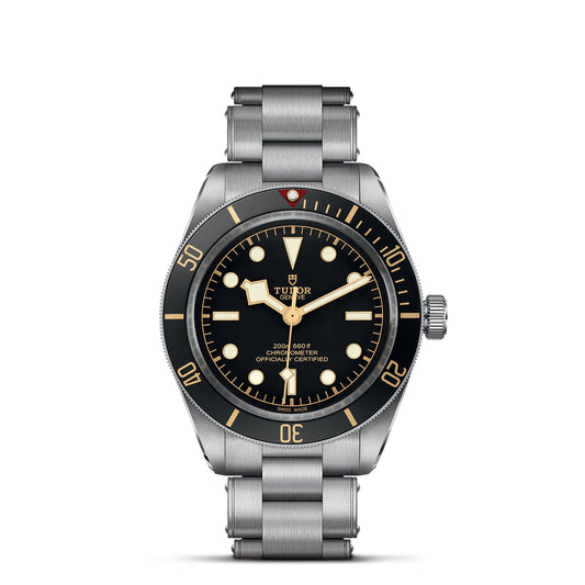 The TUDOR Black Bay 58 dive watch exudes luxury with its sleek stainless steel bracelet and striking black dial. The watch face is adorned with luminescent markers, a distinctive dot at the 12 o'clock position, and a date indicator. Its bezel is elegantly marked with numerals at intervals and complemented by pointed hands.