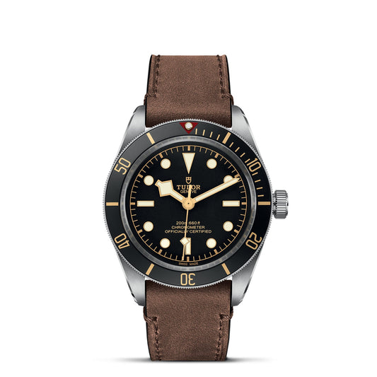 The TUDOR Black Bay 58 wristwatch showcases a black dial adorned with circular and triangular hour markers. It comes with a stainless steel case, a brown leather strap, and features a rotating bezel marked with minute indicators. Highlighting its brand name and emblem, this watch also incorporates the signature Big Crown design.