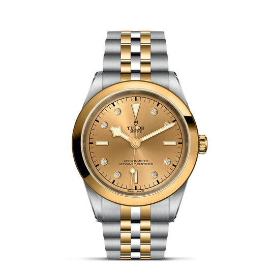 The TUDOR Black Bay One 41 S&G is a luxurious wristwatch with a steel and yellow gold bracelet, echoing the elegance of TUDOR divers’ watches. Its round gold face features diamond hour markers, the TUDOR logo, and a Chronometer Officially Certified date function for precise timekeeping.