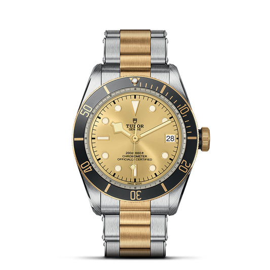Introducing the stylish TUDOR Black Bay S&G wristwatch, featuring a sleek silver and gold metal band. Its elegant gold dial with a black bezel boasts luminous hour markers and a date window at the 3 o'clock position. The iconic "TUDOR" name graces the dial, epitomizing luxury in Steel & Gold design.