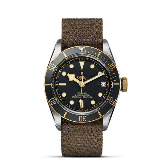 The TUDOR Black Bay S&G wristwatch features a black dial with yellow gold markings and a date window. It is adorned with a brown textured strap and showcases a black bezel with gold numbers set against a white background, epitomizing the classic elegance of TUDOR divers’ watches.
