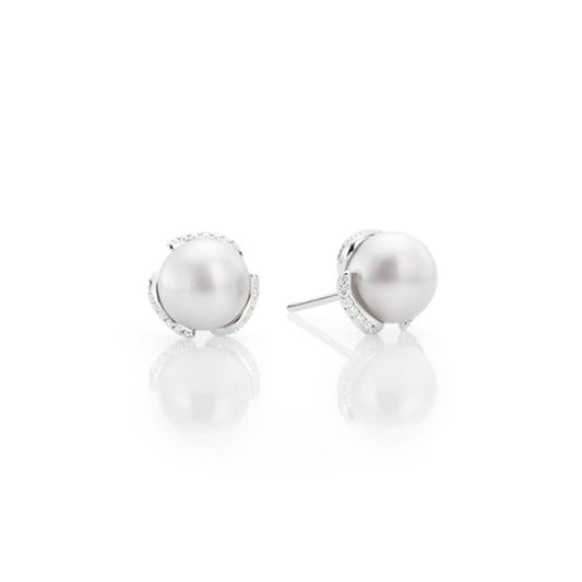 A pair of sophisticated Mikimoto Embrace stud earrings, featuring striking black South Sea cultured pearls nestled in 18k white gold settings. The pearls shimmer against a white background, beautifully enhanced by the elegant white gold that underscores their timeless allure.