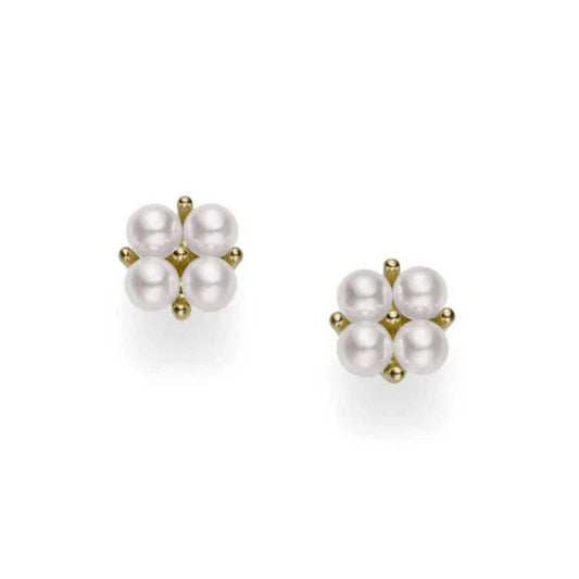 The Mikimoto 18K Yellow Gold Akoya Cultured Pearl Stud Earrings display an elegant arrangement of four small Akoya pearls secured in gold prongs, creating a symmetrical floral pattern against a white backdrop.