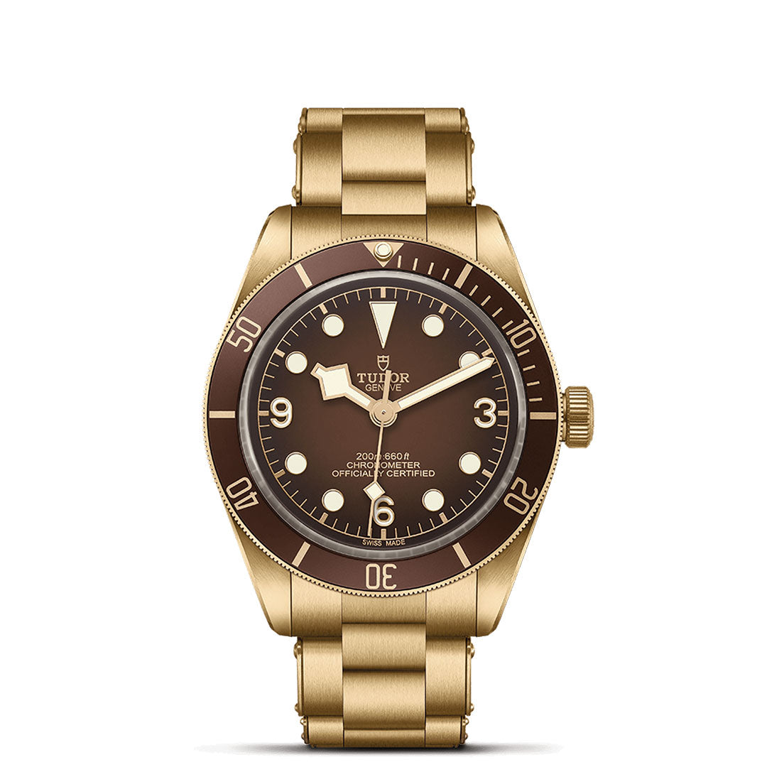 The TUDOR Black Bay 58 Bronze features a bronze case and bracelet, brown dial with gold hands and hour markers, gold-marked unidirectional bezel, "TUDOR" branding on the face, and 200m water resistance.