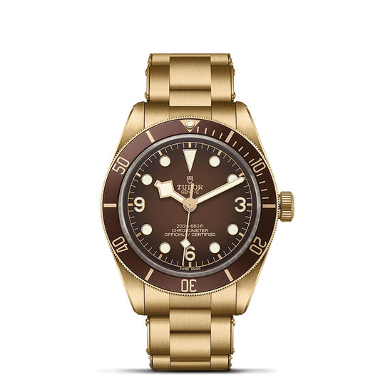 The TUDOR Black Bay 58 Bronze features a bronze case and bracelet, brown dial with gold hands and hour markers, gold-marked unidirectional bezel, "TUDOR" branding on the face, and 200m water resistance.