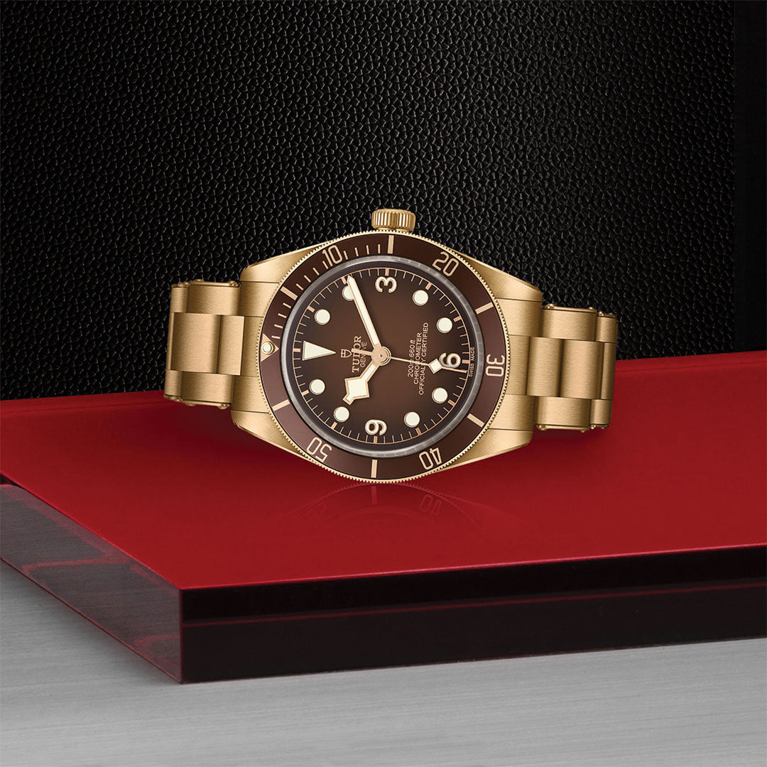 A TUDOR Black Bay 58 Bronze wristwatch with a brown dial and bezel, showing 10:10, sits on a shiny red and black platform against a textured black background. The TUDOR watch features a bronze metal link bracelet.