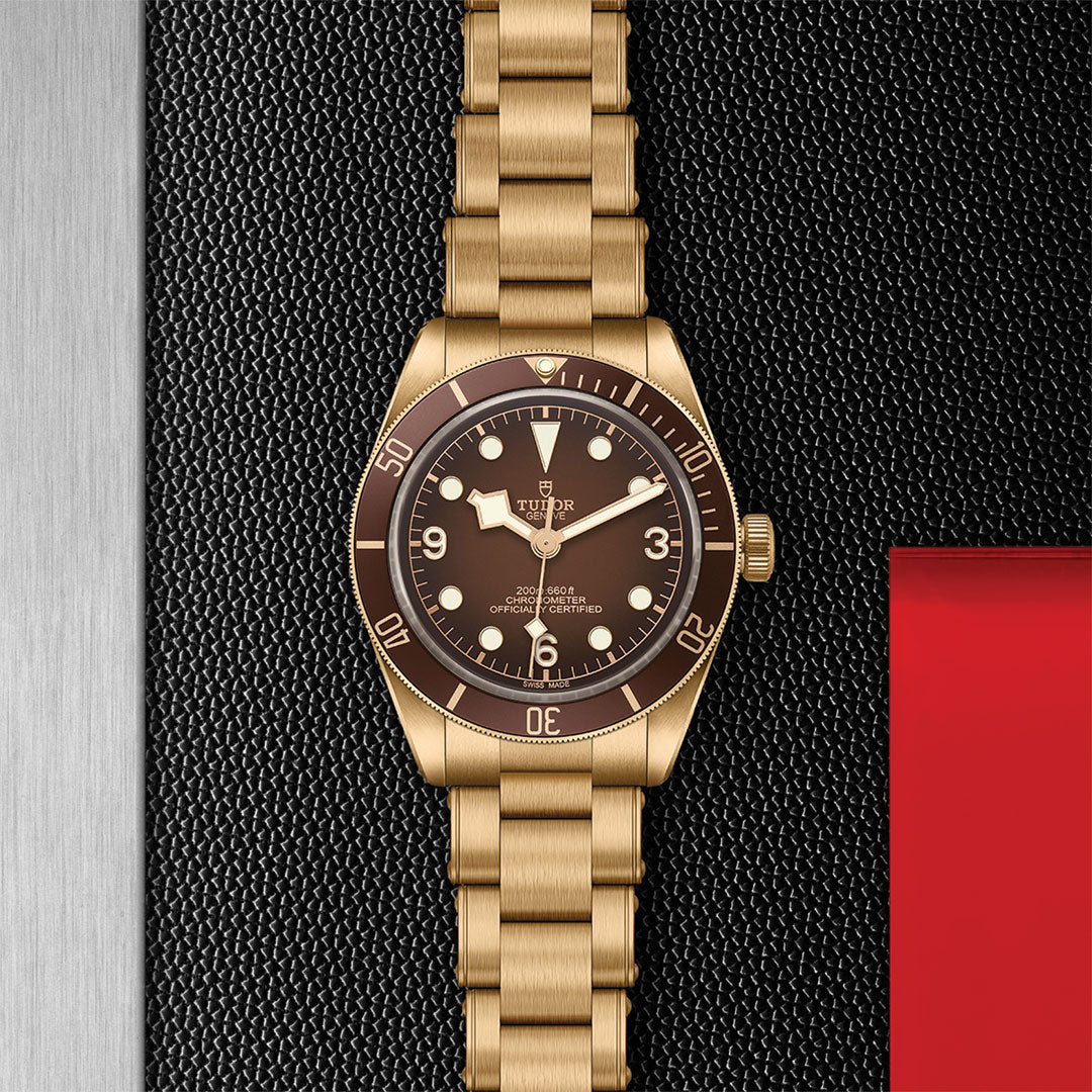 A TUDOR Black Bay 58 Bronze wristwatch by TUDOR, featuring a brown bezel and dial, gold markers, and metal bracelet, shown on a textured black and silver background with a red accent in the corner.