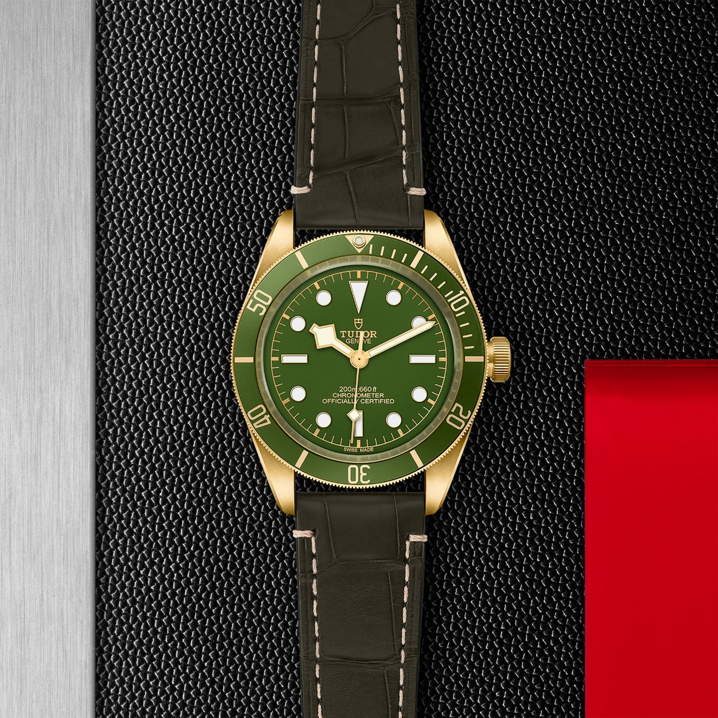 The TUDOR Black Bay 58 18K, a dive watch by TUDOR, is styled as a green and gold wristwatch featuring a leather strap. It stands out beautifully against a textured black background highlighted by a red accent. The elegant face showcases hour markers encircled by a sleek metal bezel.