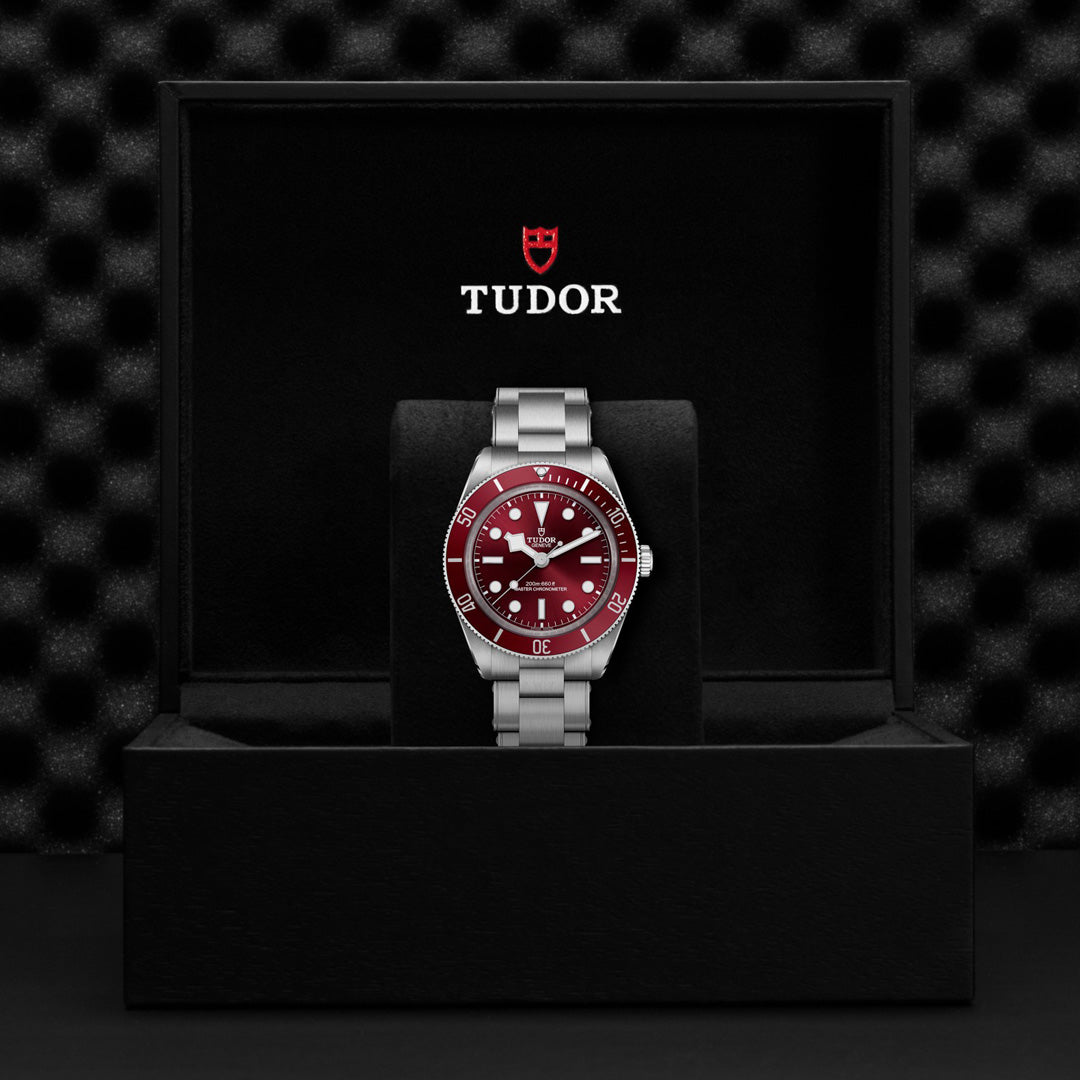 The TUDOR Black Bay 58 dive watch, with a silver band and striking red dial, is elegantly displayed upright in a black box. The Tudor logo graces the interior lid against a dark textured background.