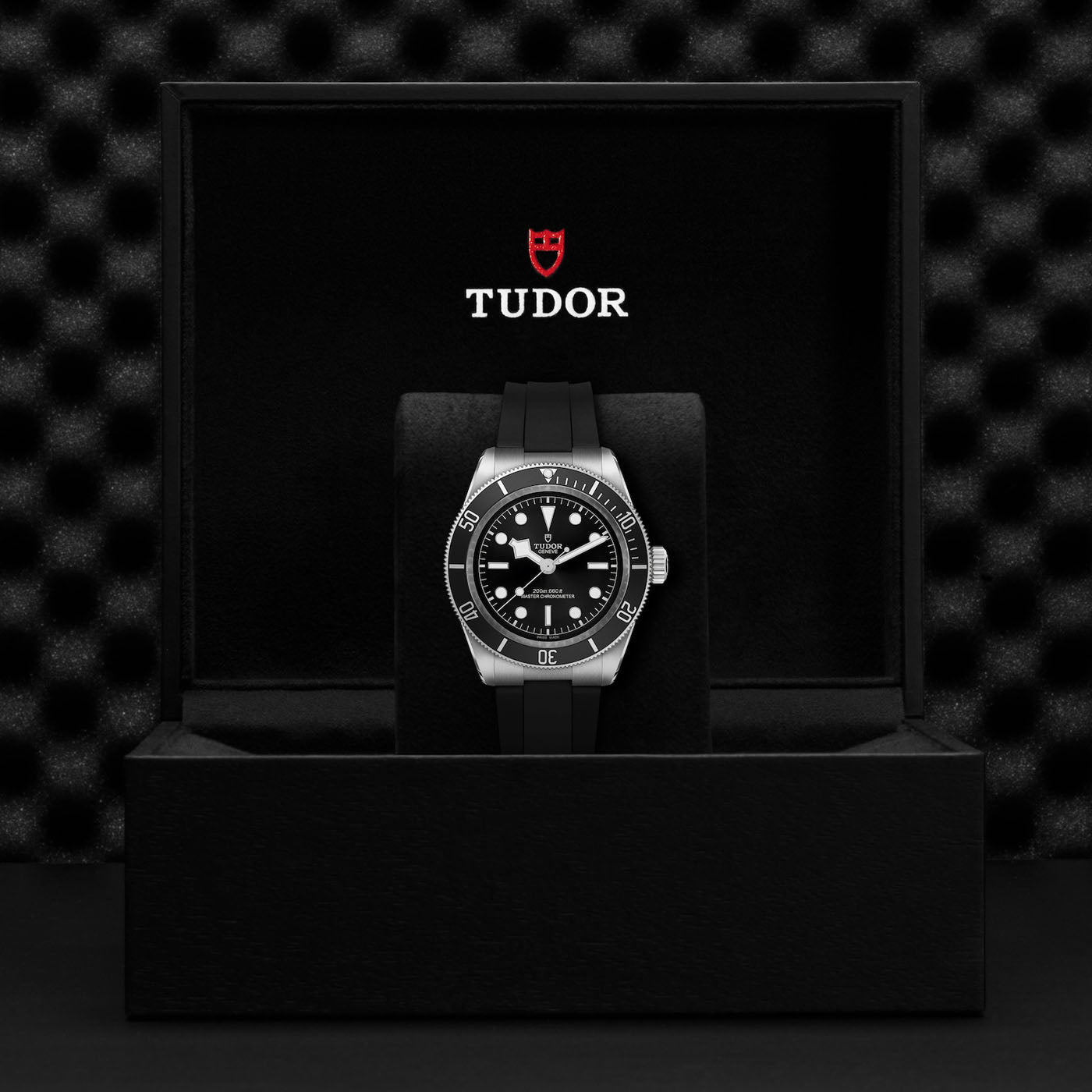 A luxury TUDOR Black Bay timepiece, featuring a black dial and silver accents, is elegantly showcased in an open black box. This neo-vintage watch boasts a sleek black strap and is centrally positioned against a textured backdrop, with the distinguished TUDOR logo prominently displayed above it, reflecting its rich heritage associated with TUDOR divers' watches.