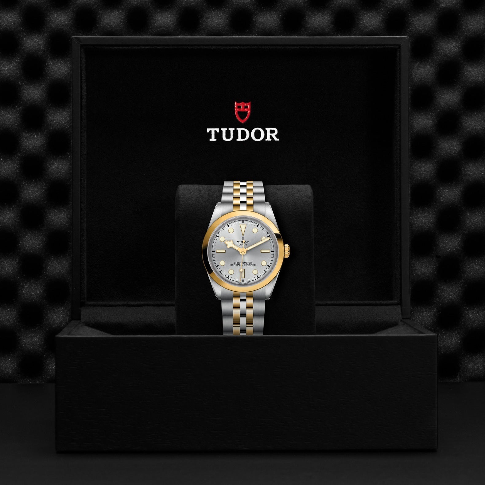 A TUDOR Black Bay 36 S&G wristwatch is elegantly displayed in an open black box. The watch boasts a two-tone metal strap, a silver face with gold accents, and the signature Black Bay design. The brand name "TUDOR" is prominently visible inside the box lid above the watch in its 36mm steel case.