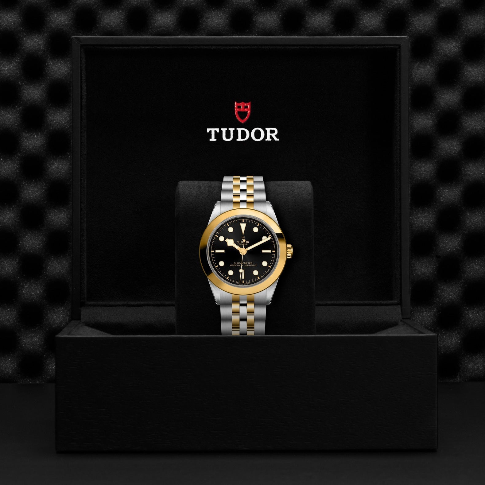 The TUDOR Black Bay 39 S&G features a 39mm steel case with a black dial and gold accents. Its elegant dual-tone gold and silver band is presented in a sleek black box bearing the TUDOR brand. The textured, dark background emphasizes the classic appeal beloved by enthusiasts of TUDOR divers' watches.