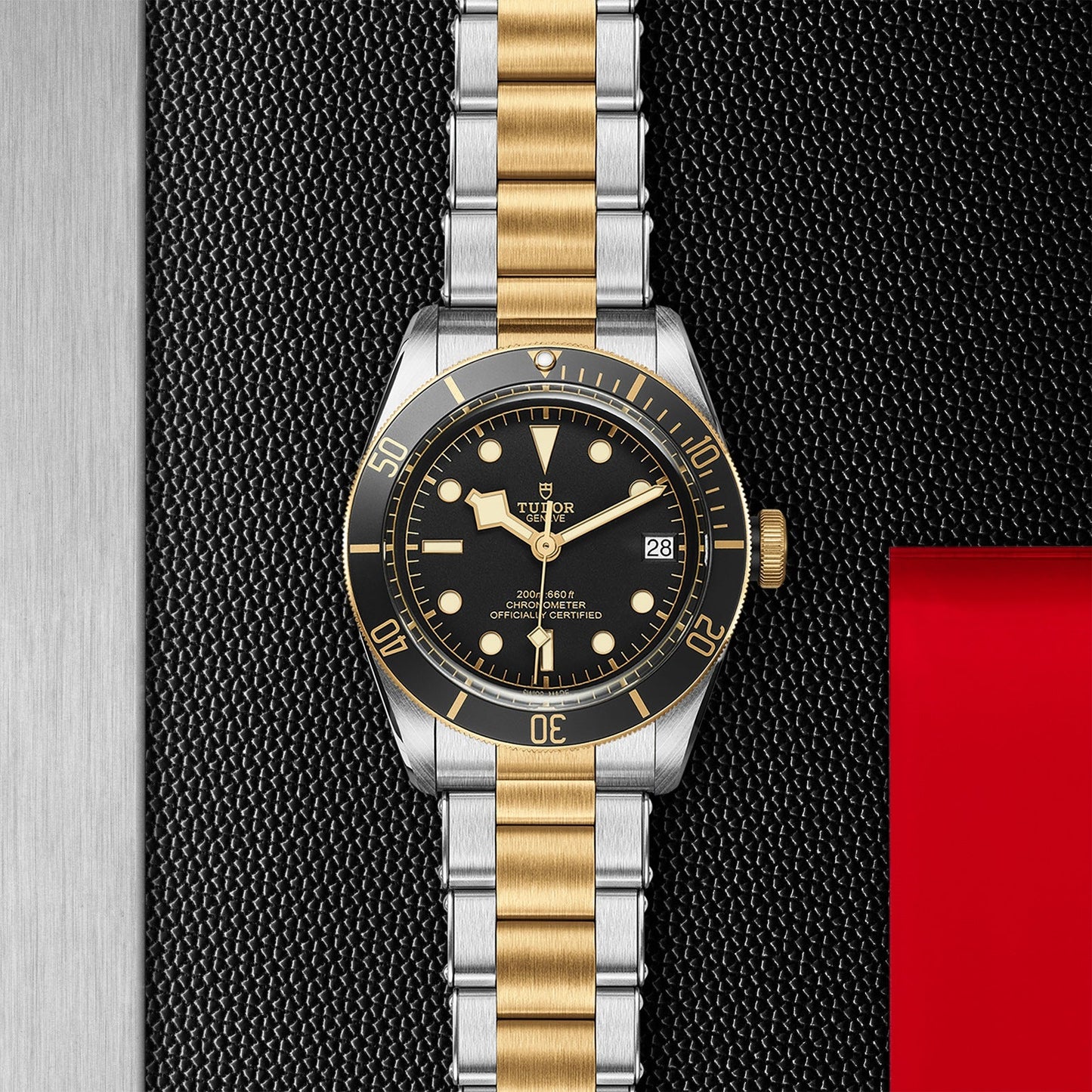 TUDOR Black Bay S&G