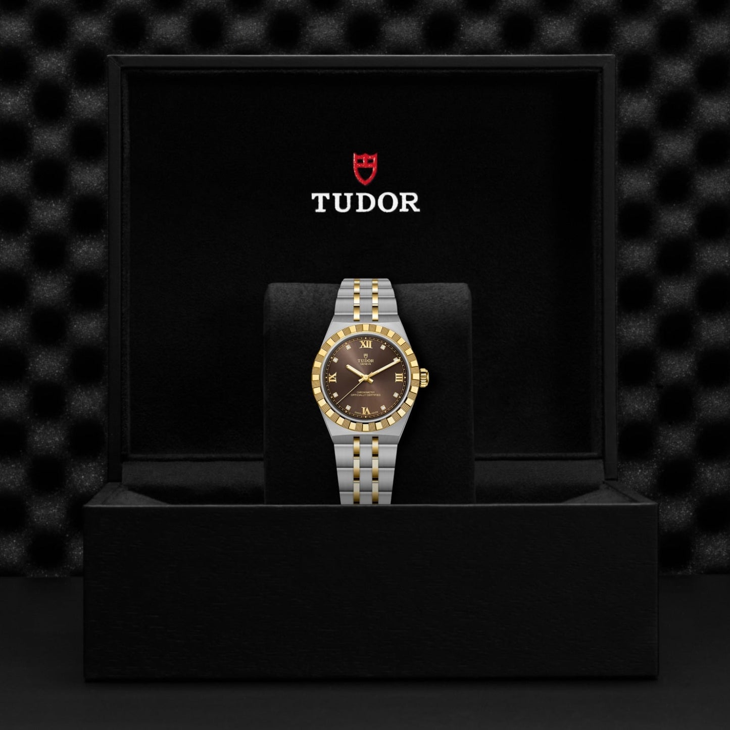 The TUDOR Royal, a two-tone gold and silver automatic wristwatch, is presented in a black TUDOR box against a dark textured backdrop—showcasing sport-chic elegance.